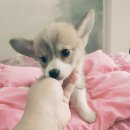 더이쁜멍살롱