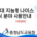 나이스개발