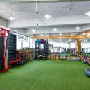 YC바디핏 이미지