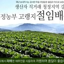 추광농장 | 고랭지 절임배추 20kg 가격비교 (Top3 추천)