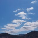 효산제 Daum카페