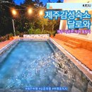 제주달로와 | 제주도 서귀포 풀빌라 펜션 제주 감성숙소 달로와