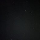 플로리다 대탄 이미지