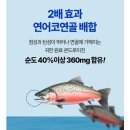 뉴프로셀 네이버블로그