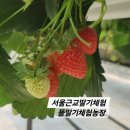 봄뜰에농장 이미지