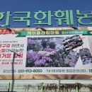 한국화훼농협 꽃전시.1편 이미지