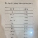영등포타임스퀘어 담솥에서 솥밥 먹고 온 후기