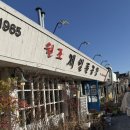 다원앤푸드 | 여름아 오지마