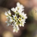 여주-0404 이미지