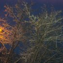 한동호 카카오 검색결과