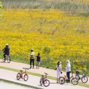 낙동강체육공원 구미캠핑장 화장실2 이미지