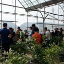 경기엘림어린이집 이미지