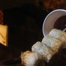 스고이오뎅 이미지