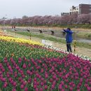 우암산순환로 이미지