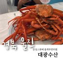 대광 | 감성스팟 포토존에 홍게 무한리필까지? 울진 대광수산 방문후기