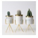 아담행정사 이미지