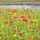 광양숯불고기 - 여수시 성산1길 8-7 | 광양숯불고기