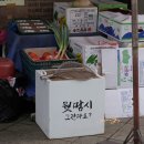 태형식품