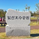 일산호수공원 가을꽃 축제 이미지