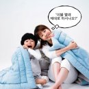 크린토피아이불 이미지