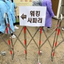 기린06 | 용인 에버랜드 워킹사파리 | 로스트밸리 아이랑 도보탐험 후기 (우비/꿀팁)