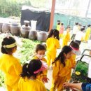 홍익농장 이미지