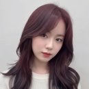 성빈인테리어 - 전주시 완산구 서원로 183-47 | 제주 미용실 레이어드컷 성지, 리파인드헤어 성빈 수석디자이너의 '인생 레이어드펌' 분석