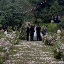 제이제이소프트 | 보넬리가든 플라워디렉팅 업체 특징 비교 하기 💐