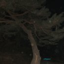 버스정류장 07-562 | 운문지맥 제1구간 가지산에서 오치고개까지 산행후기