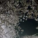 지에스(GS)25 무거삼호점 이미지