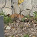 (주)동김천현대서바스 | 중간고사의 꽃말은 기말을 노리자