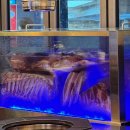 돈먹고찜 이미지