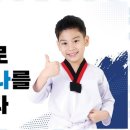 새빛태권도 이미지