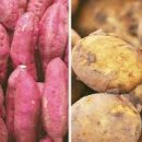 순서농장 이미지