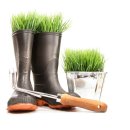 김학규농장 이미지