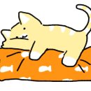 캣살롱코코 이미지