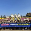 임실쌀피자 이미지