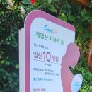 계명산 치유의 숲 이미지
