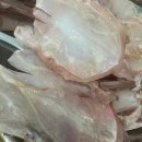 올치까까 이미지