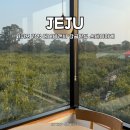 스테이하례 이미지