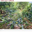 주말 농부와 일반 농부. 이미지