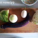 최영숙농장 네이버블로그