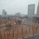 창 법무사 행정사사무소 이미지