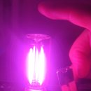 오토크루 이미지