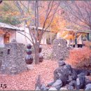 석림원 이미지