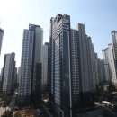 강남-116 이미지