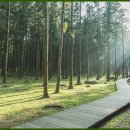 맑은마음병원 이미지