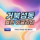 엘린잉글리쉬 - 서구 탄방로 108-23 | 거북섬 영어학원 엘린 잉글리쉬 주소 및 소개