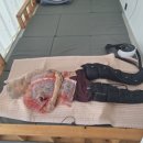 (주)참빛요양복지센터 이미지