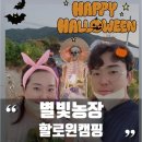 애견가을농장 이미지